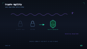 Read more about the article Crypto Agility After PQC: How to Avoid the Next Migration Failure